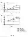 Fig. 42 - Nucleic acid molecules encoding monoclonal antibodies specific for IL-22