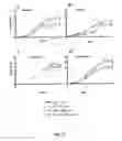 Fig. 43 - Nucleic acid molecules encoding monoclonal antibodies specific for IL-22