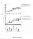 Fig. 47 - Nucleic acid molecules encoding monoclonal antibodies specific for IL-22