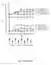 Fig. 49 - Nucleic acid molecules encoding monoclonal antibodies specific for IL-22