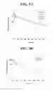 Fig. 11 - METHODS OF TREATING TRANSPLANT REJECTION USING A DOMAIN ANTIBODY DIRECTED AGAINST CD40