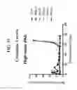 Fig. 21 - METHODS OF TREATING TRANSPLANT REJECTION USING A DOMAIN ANTIBODY DIRECTED AGAINST CD40