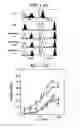 Fig. 02 - Immunopotentiative Composition