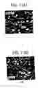 Fig. 08 - Immunopotentiative Composition