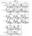 Fig. 10 - Immunopotentiative Composition