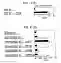 Fig. 12 - Immunopotentiative Composition