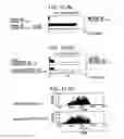 Fig. 13 - Immunopotentiative Composition