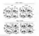 Fig. 14 - Immunopotentiative Composition