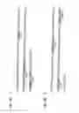 Fig. 02 - Dual specific immunotoxin for brain tumor therapy