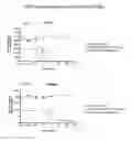 Fig. 07 - Dual specific immunotoxin for brain tumor therapy