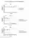 Fig. 08 - Dual specific immunotoxin for brain tumor therapy