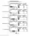 Fig. 18 - Dual specific immunotoxin for brain tumor therapy