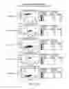 Fig. 25 - Dual specific immunotoxin for brain tumor therapy