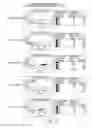 Fig. 29 - Dual specific immunotoxin for brain tumor therapy