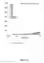Fig. 03 - Antibodies which bind to the human CC chemokine receptor 4 and uses thereof