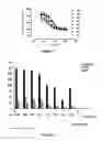 Fig. 05 - Antibodies which bind to the human CC chemokine receptor 4 and uses thereof