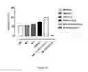 Fig. 13 - Antibodies which bind to the human CC chemokine receptor 4 and uses thereof