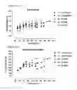 Fig. 14 - Antibodies which bind to the human CC chemokine receptor 4 and uses thereof