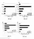 Fig. 03 - Method for treating CD40-mediated diseases