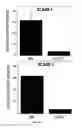 Fig. 13 - Method for treating CD40-mediated diseases