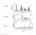 Fig. 09 - MODIFIED PSEUDOMONAS EXOTOXIN A