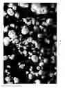 Fig. 08 - Dissolution of oxidized cellulose and particle preparation by cross-linking with multivalent cations