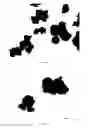 Fig. 15 - Dissolution of oxidized cellulose and particle preparation by cross-linking with multivalent cations