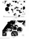 Fig. 16 - Dissolution of oxidized cellulose and particle preparation by cross-linking with multivalent cations