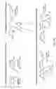 Fig. 03 - POLYMERIC MATERIALS FOR BIO-APPLICATIONS
