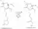 Fig. 76 - Polymer compositions comprising cross-linked polymers comprising boronic ester functions enabling exchange reactions, process for preparing them and their use