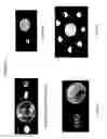 Fig. 03 - PELLETS OF LIGHTLY VIS-BROKEN POLYPROPYLENE