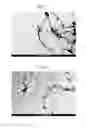 Fig. 05 - Method for the preparation of polyaniline/reduced graphene oxide composites