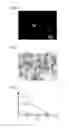 Fig. 05 - POLYMER MEMBRANE FOR CANCER CELL DETECTION, METHOD OF PRODUCING POLYMER MEMBRANE, AND CANCER CELL DETECTION DEVICE INCLUDING POLYMER MEMBRANE