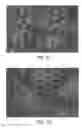Fig. 07 - Cell carrier, associated methods for making cell carrier and culturing cells using the same
