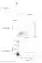 Fig. 12 - Cell carrier, associated methods for making cell carrier and culturing cells using the same