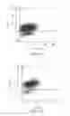 Fig. 14 - Cell carrier, associated methods for making cell carrier and culturing cells using the same