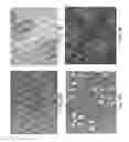Fig. 17 - Cell carrier, associated methods for making cell carrier and culturing cells using the same