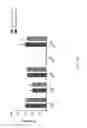 Fig. 14 - Methods for manufacturing adoptive cell therapies