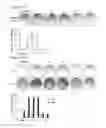 Fig. 35 - Compositions comprising a mitofusin inhibitor for promoting cell reprogramming and a use thereof