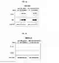 Fig. 12 - Hexon isolated from simian adenovirus serotype 19, hypervariable region thereof and chimeric adenovirus using the same