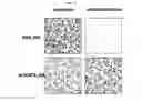 Fig. 21 - Hexon isolated from simian adenovirus serotype 19, hypervariable region thereof and chimeric adenovirus using the same