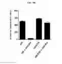 Fig. 22 - Hexon isolated from simian adenovirus serotype 19, hypervariable region thereof and chimeric adenovirus using the same