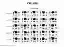 Fig. 27 - Hexon isolated from simian adenovirus serotype 19, hypervariable region thereof and chimeric adenovirus using the same