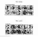 Fig. 36 - Hexon isolated from simian adenovirus serotype 19, hypervariable region thereof and chimeric adenovirus using the same