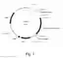 Fig. 02 - Polypeptides having amylolytic enhancing activity and polynucleotides encoding same
