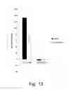 Fig. 14 - Polypeptides having amylolytic enhancing activity and polynucleotides encoding same