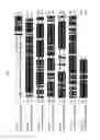 Fig. 02 - Hyperthermostable endoglucanase