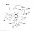Fig. 07 - NOVEL ALPHA-GALACTOSIDASE A DERIVATIVES