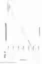 Fig. 09 - NOVEL ALPHA-GALACTOSIDASE A DERIVATIVES