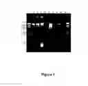 Fig. 02 - METHOD FOR ISOLATING DNA